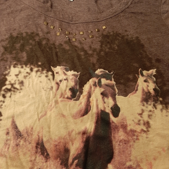 Two Shirts- One XL, One 1X - Picture 4 of 11